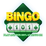 BINGO 101